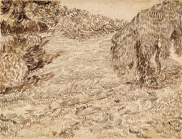 Vincent van Gogh; Flowering Garden; 1888; pencil, reed pen and brown ink on wove paper; 241 x 314 cm