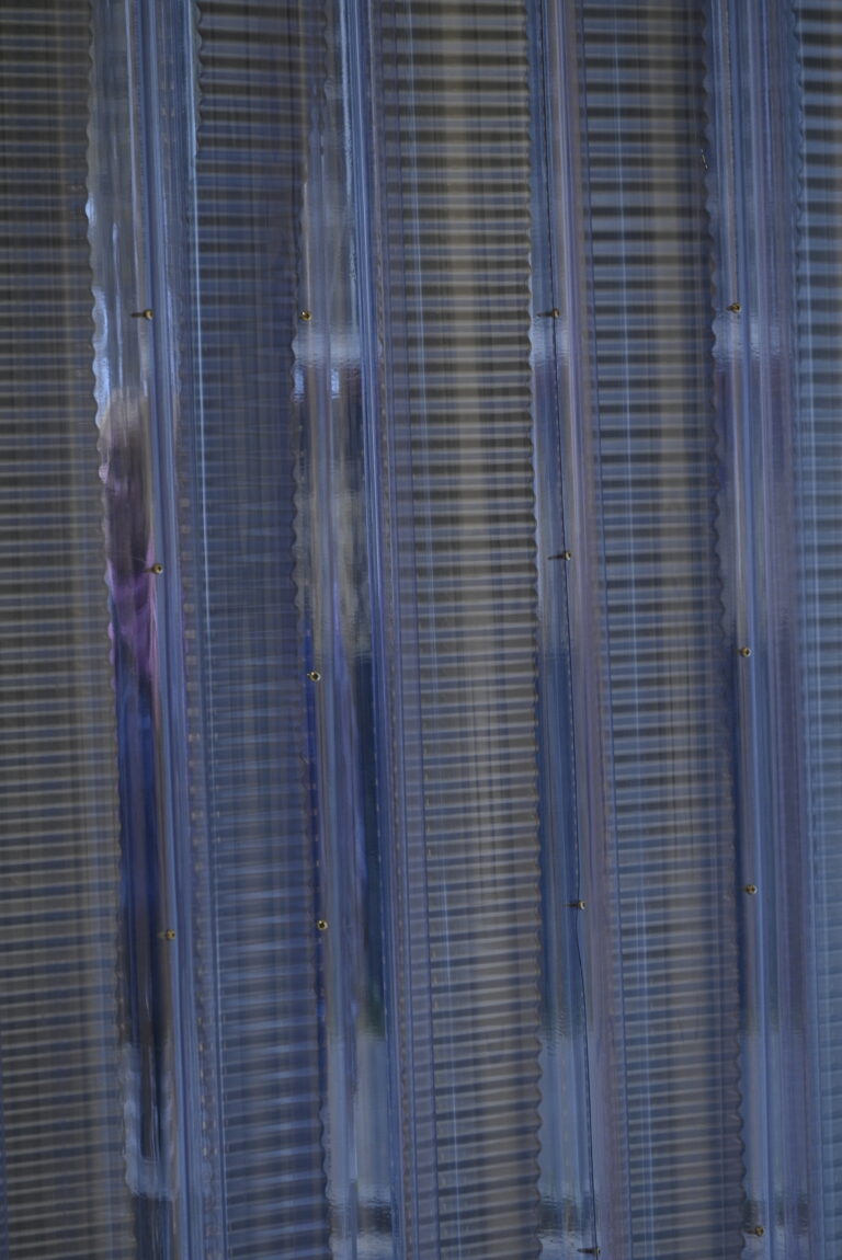 _DSC0693