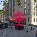 Pamela Rosenkranz Old Tree May 2023 - September 2024